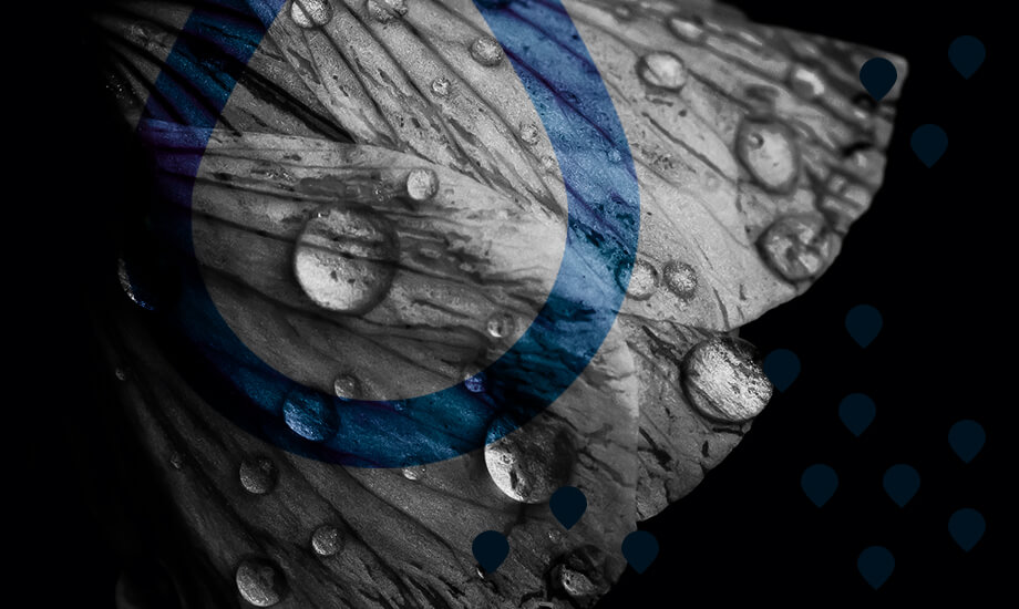 Звідки до шкіри потрапляє вода?