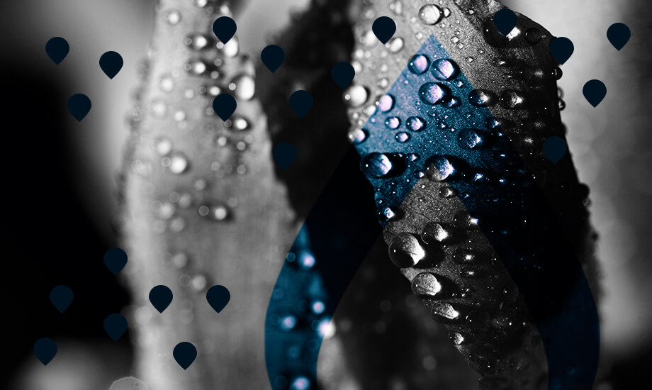 Звідки до шкіри потрапляє вода?