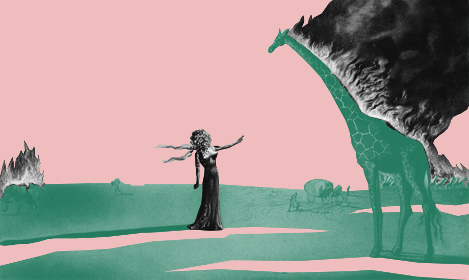 Метод всадника, слона и пути