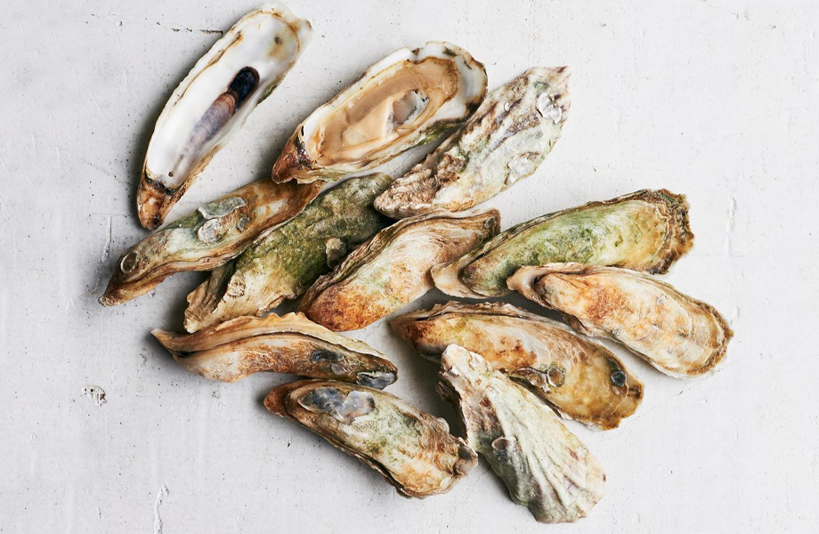 Полезные свойства устриц