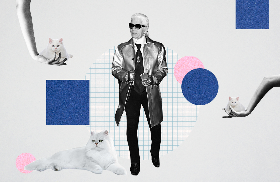 Асексуали, демісексуали: хто це, чому їх не цікавить секс? 