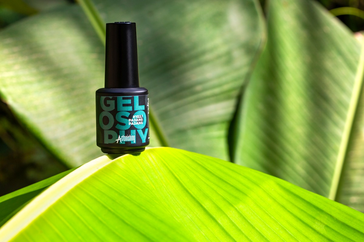 Astonishing Gelosophy