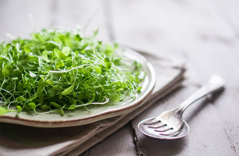 виды микрогринов виды микрогринов