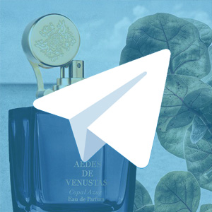 7 Telegram-каналов о парфюмерии