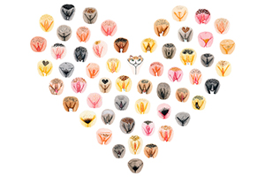 На кого подписаться: The Vulva Gallery