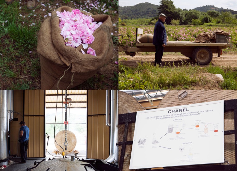 Процесс создания парфюма