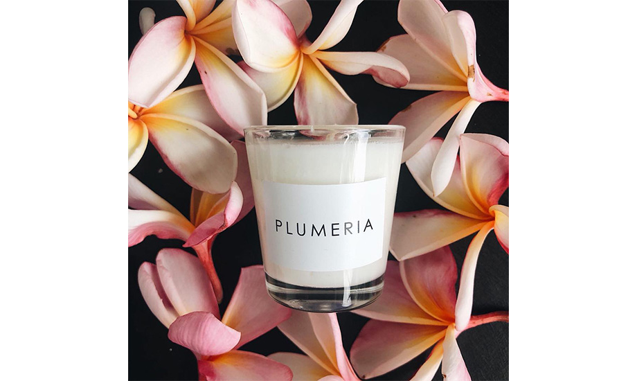 Arka, Candle Plumeria