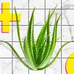 Сок алоэ для лица