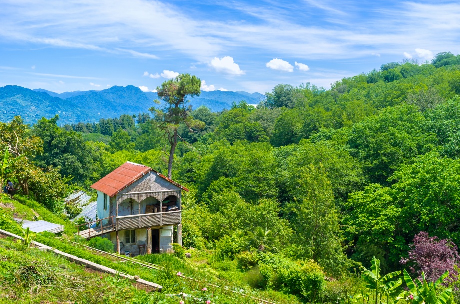 отдых в Батуми