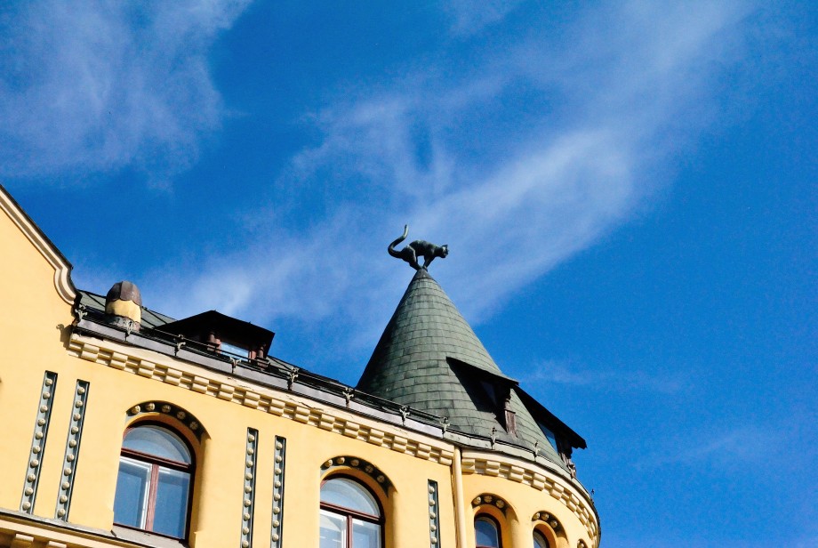 Дом с черными котами