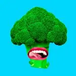 Веган и вегетарианец разница