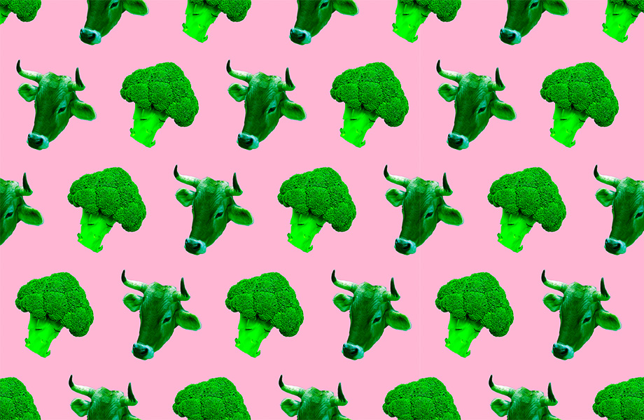 Веган и вегетарианец разница