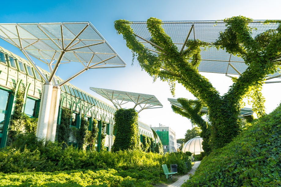 Сад на крыше Варшавской библиотеки