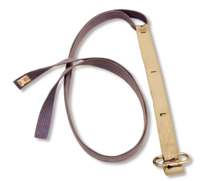 Первые петли TRX