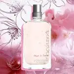L'Occitane en Provеnce, Fleurs de Cerisier