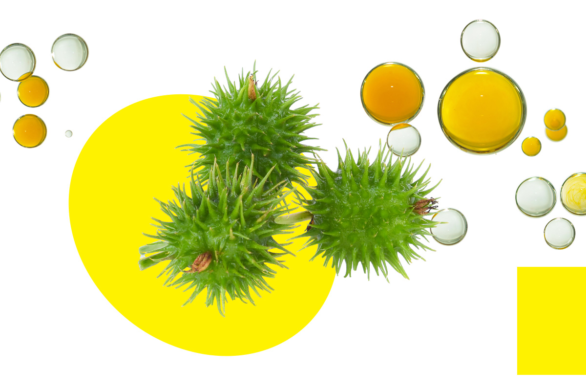 Касторовое масло для волос