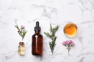 Масло чайного дерева поможет справиться с акне и повышенной жирностью кожи летом