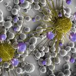 Раковые клетки способны подключатся к нейронной сети мозга