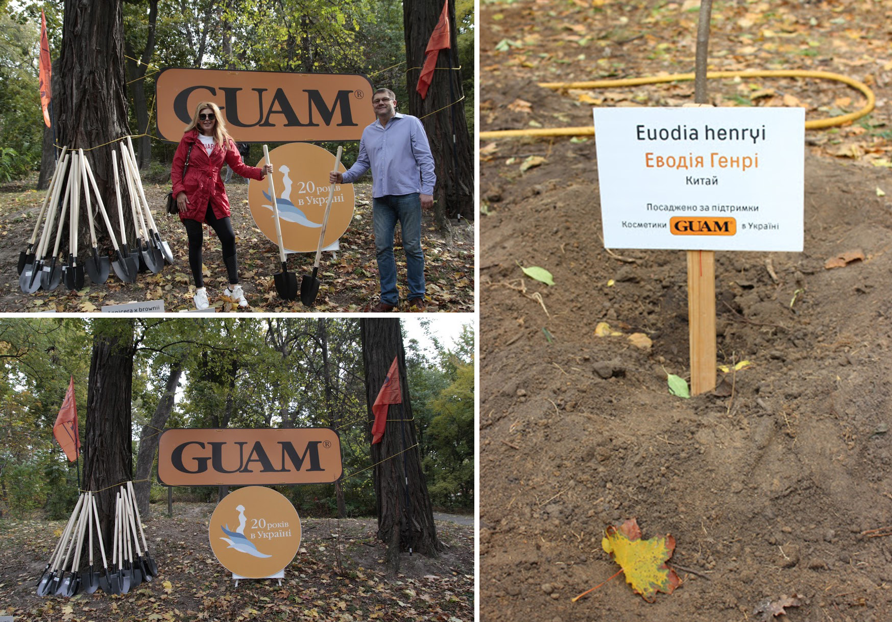 Топ-5 beauty-брендов, которые занимаются лесоводством