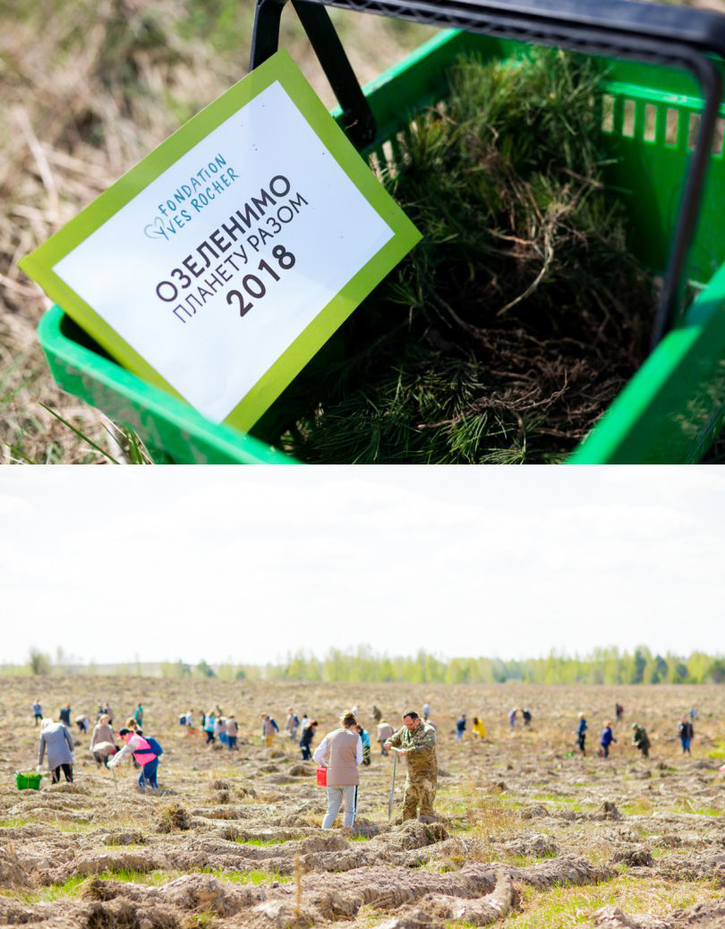 Топ-5 beauty-брендов, которые занимаются лесоводством