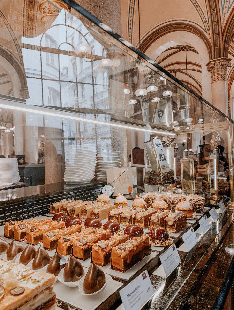 Личный опыт редакции: где вкусно поесть в Вене