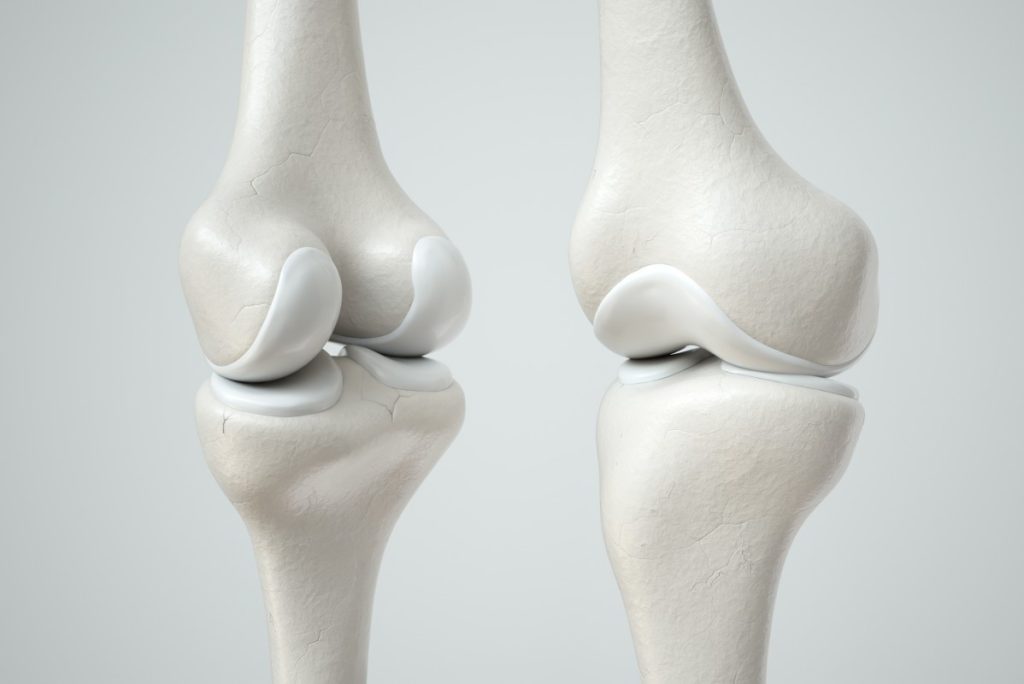 что такое хондропротекторы