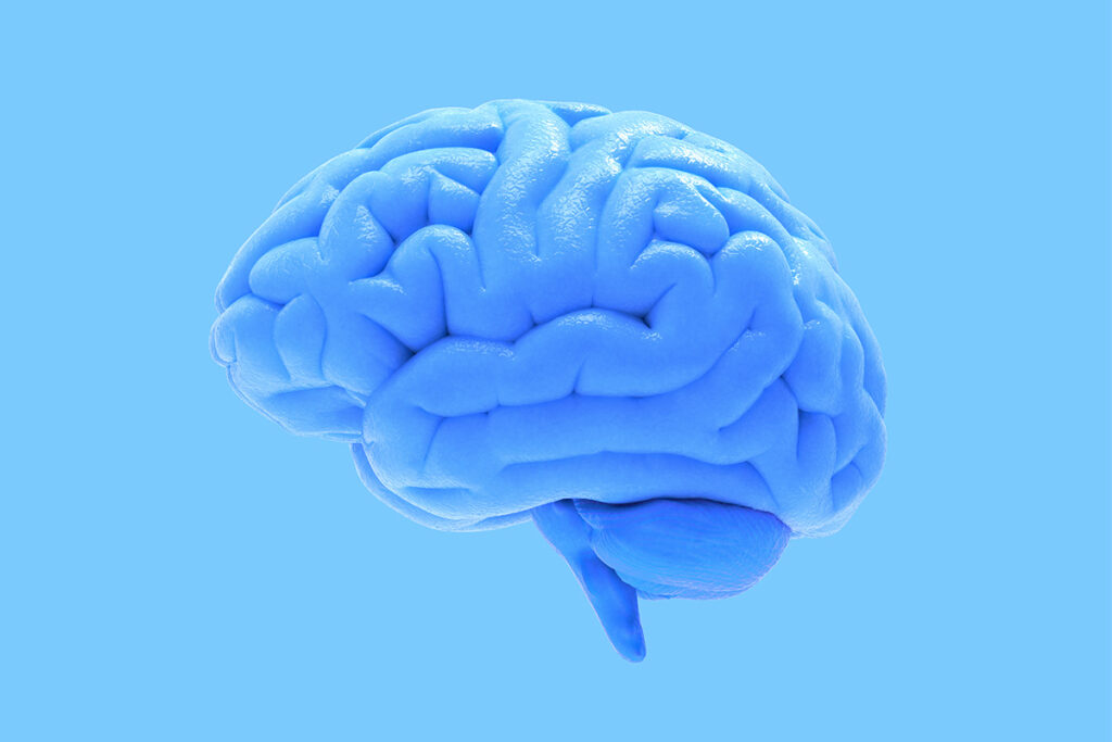 Карантин с пользой: игры на развитие памяти