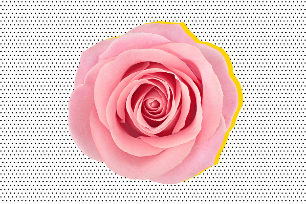 Виды вагин фото