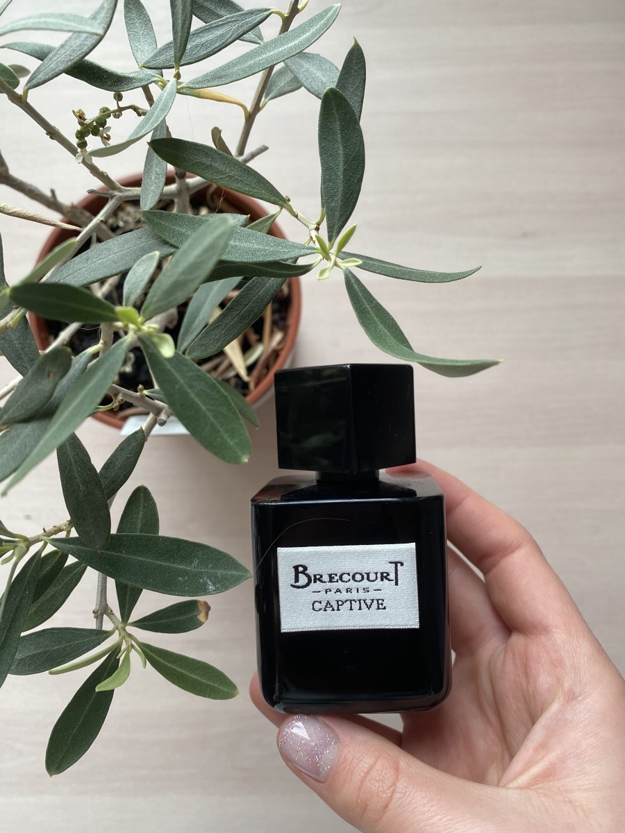 Нишевый аромат Brecourt Captive