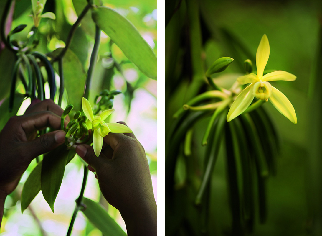 Выставка La Beauté se Cultive