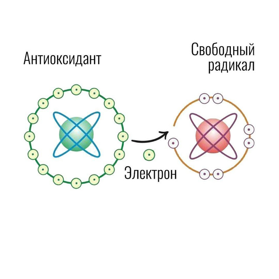 Антиоксиданты и свободные радикалы