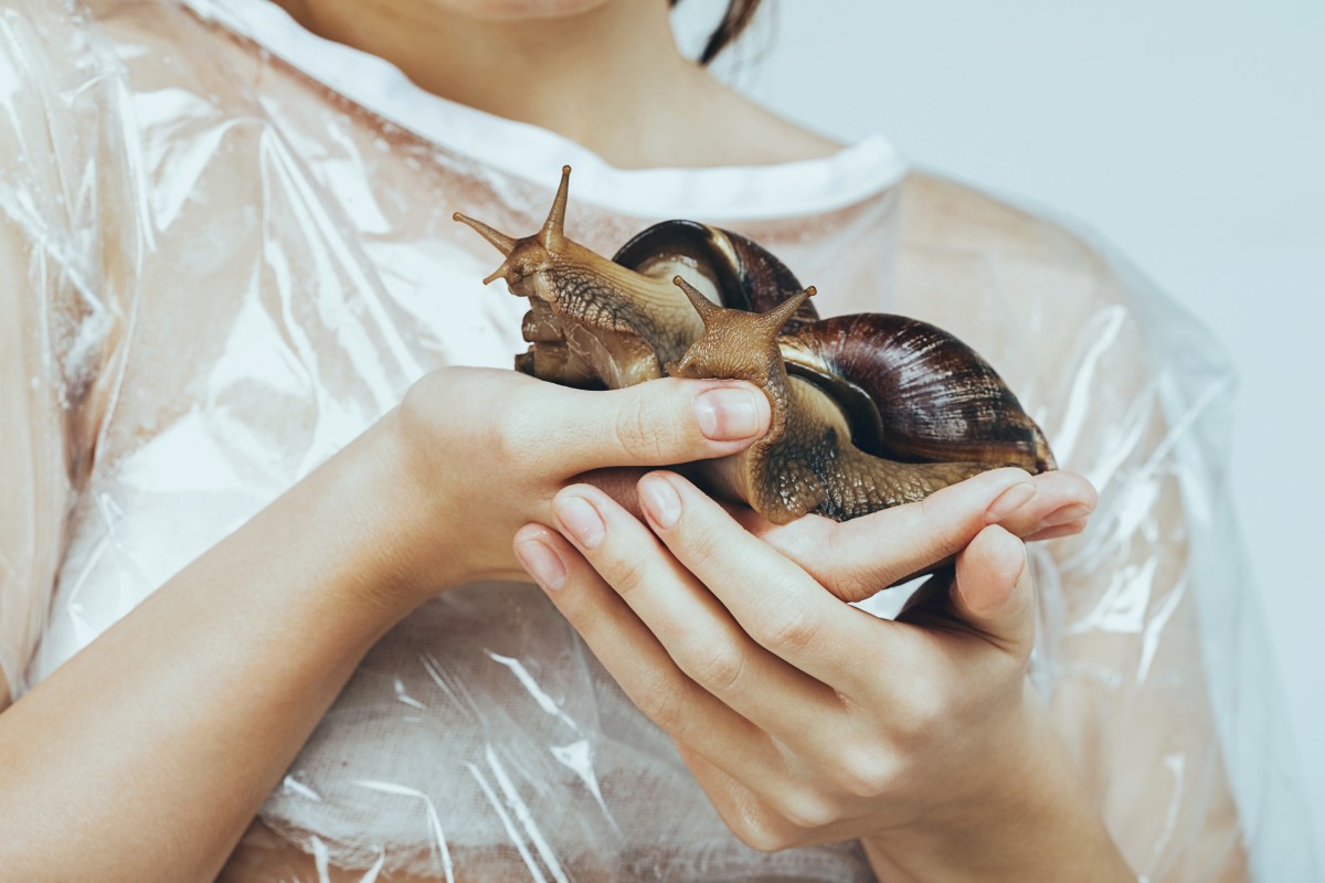 как муцин улитки влияет на нашу кожу