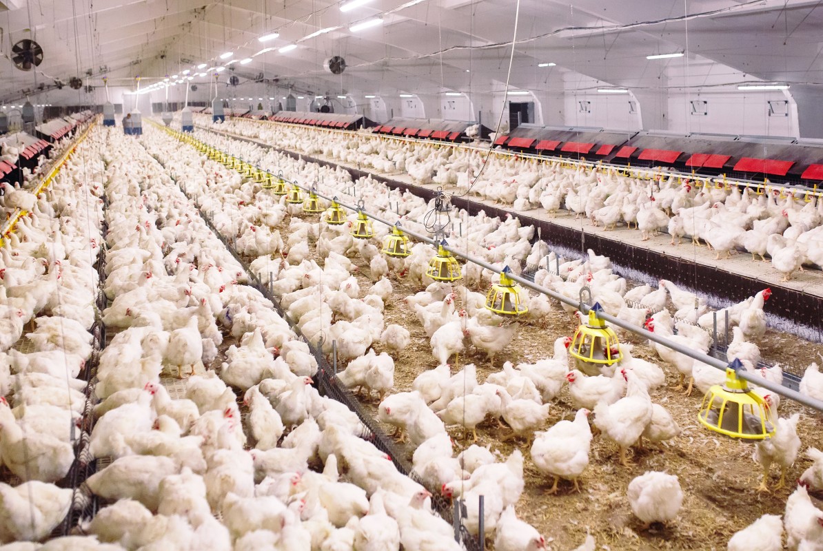 Фильм "Земляне" причина № 1