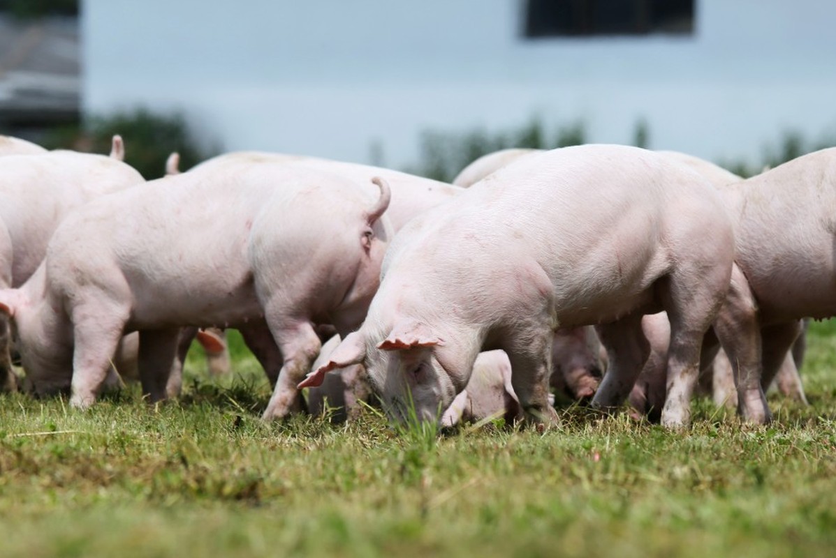 Фильм "Земляне" причина № 4