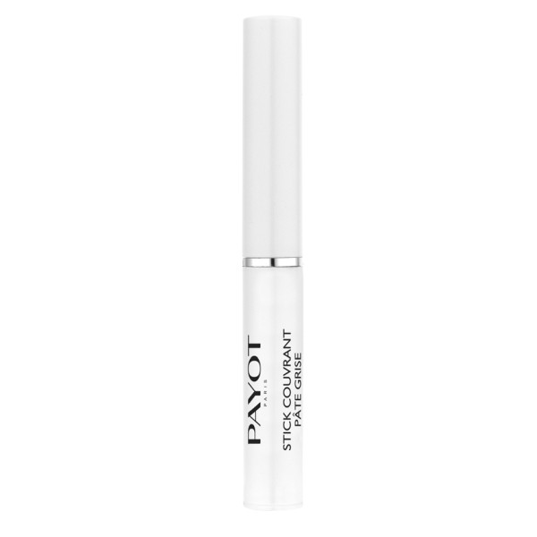 Payot Stick Couvrant Pâte Grise