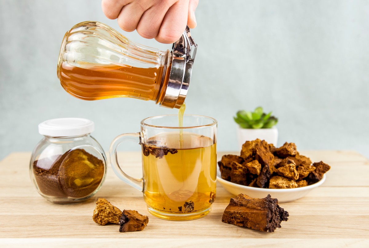 рецепт чаги