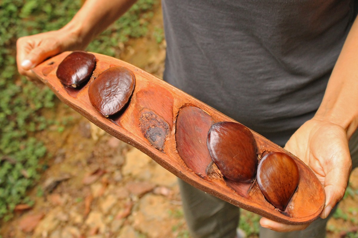 О чудо-свойствах масла для волос