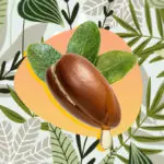 Как использовать аргановое масло в бьюти-рутине