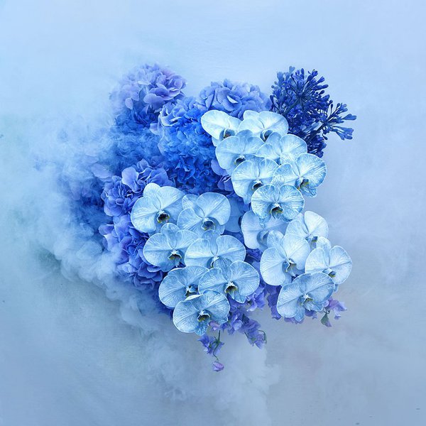 Как понять красоту цветов: правила компоновки букетов