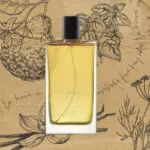 5 ключевых нот, которые должны быть в вашем парфюмерном гардеробе