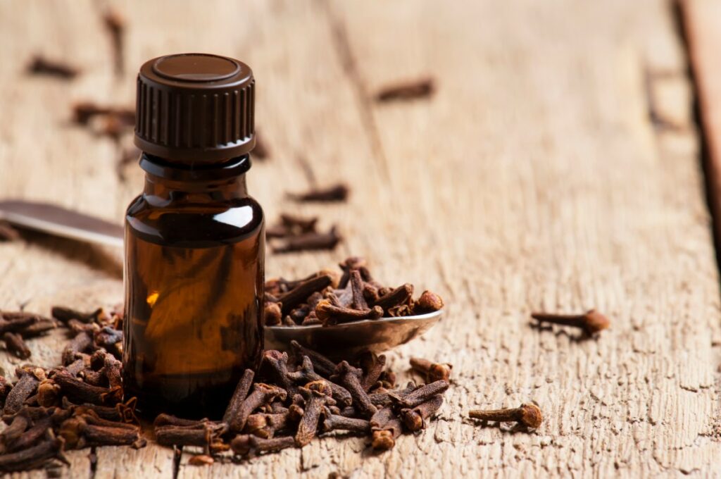 Олія гвоздики для волосся: користь і особливості застосування