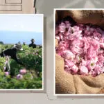 Экоинициатива: Lancôme внедряет программу устойчивого развития