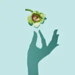 Насколько полезно женщинам мастурбировать — версии