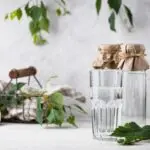 Березовый сок: полезные свойства, как пить, кому противопоказан