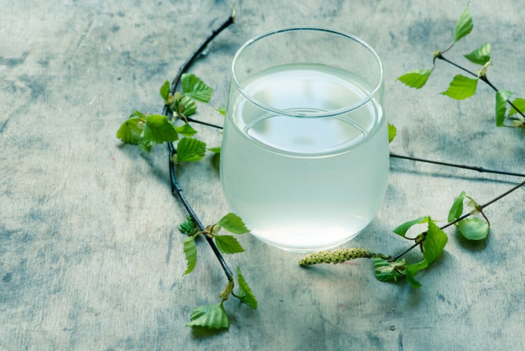 Березовый сок: полезные свойства, как пить, кому противопоказан