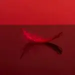 Можно ли заниматься сексом во время месячных