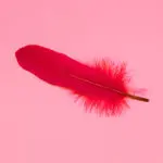 Як спричинити місячні без шкоди для здоров’я: поради лікаря