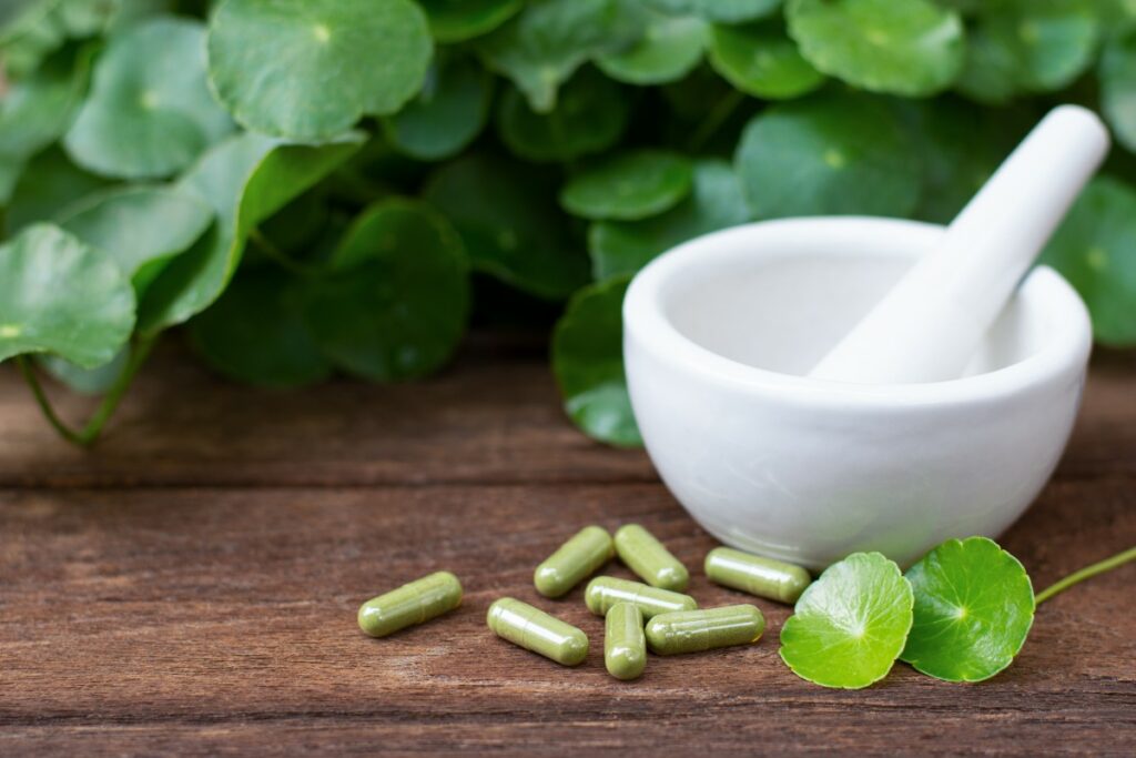 Центелла азиатская: зачем ее искать в косметической продукции