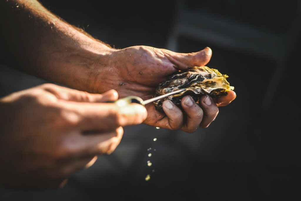 Изысканный суперфуд: как правильно есть устриц