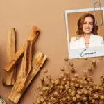 Пало санто: как правильно жечь, чтобы активировать все полезные свойства